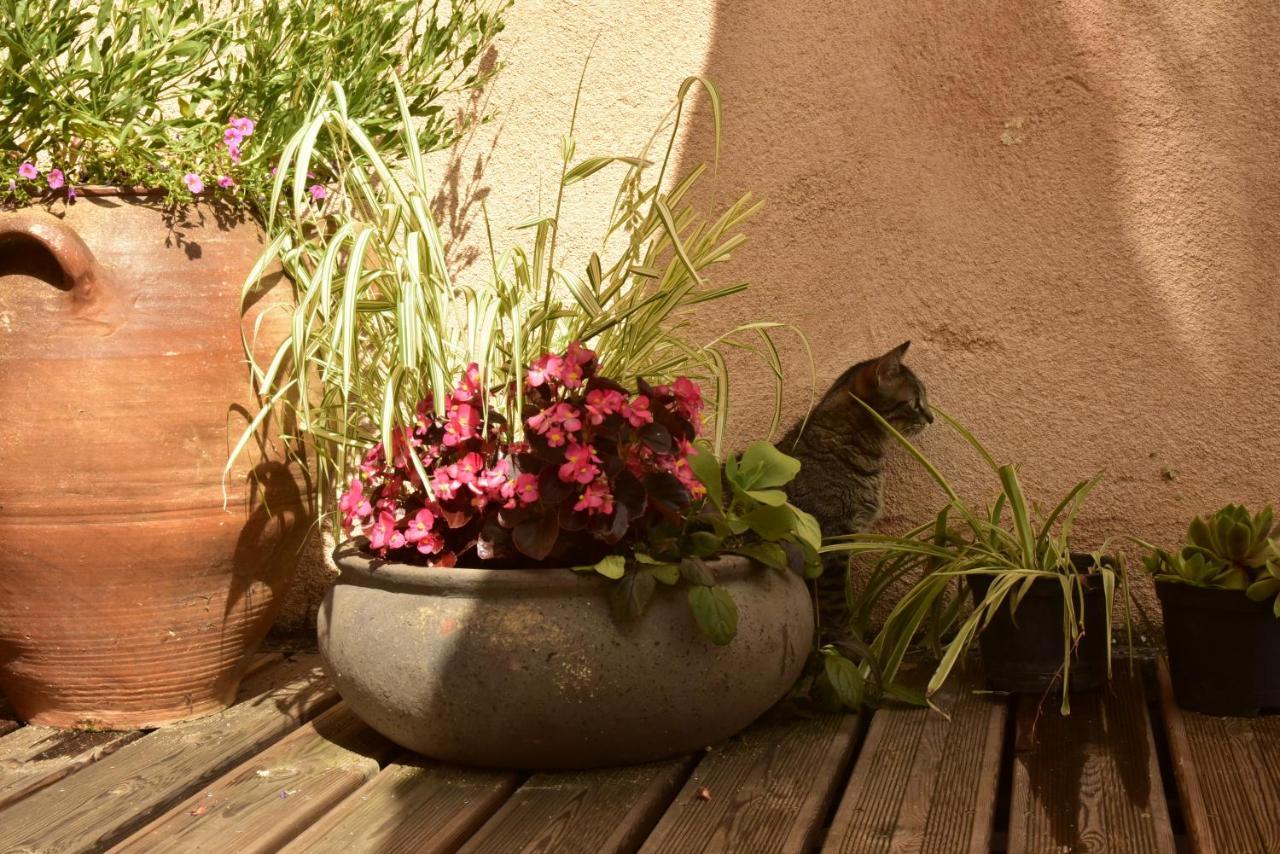 Logis Hotel Le Boudoir Belvès Exteriér fotografie